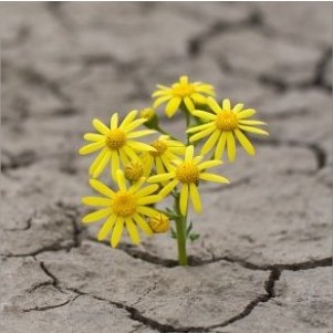 Autoconhecimento conduz à resiliência sem perder o foco